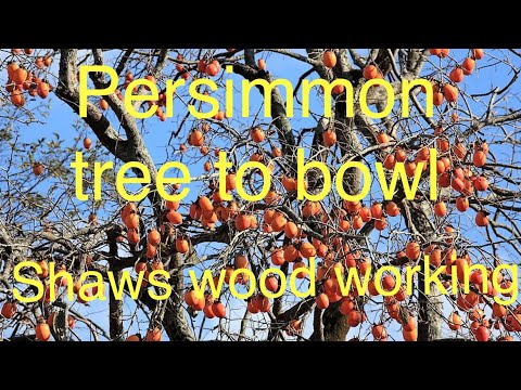 Woodworking | persimmon bowl | WOODTURNING