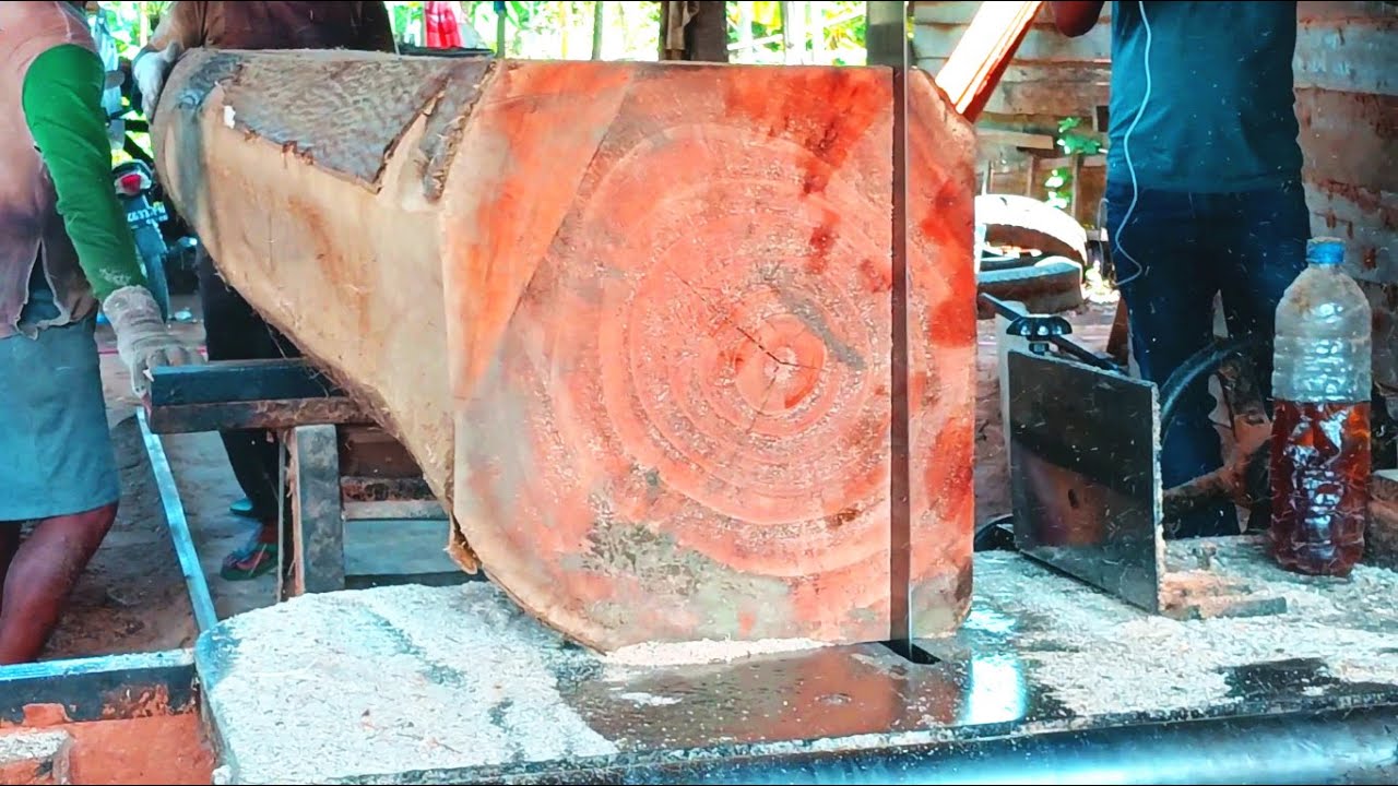Australian Buloke (Bull Oak) Wood Which Is Trending In The Sawmill World