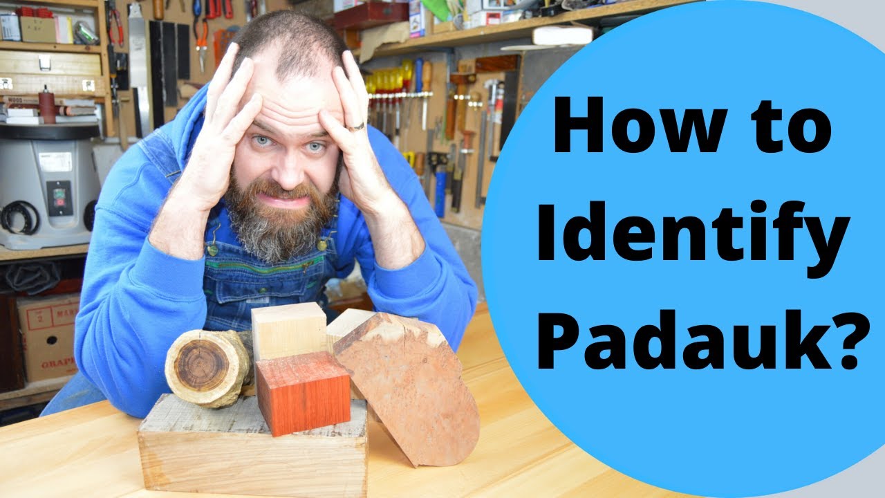 Wood wecognition Wednesday: Padauk