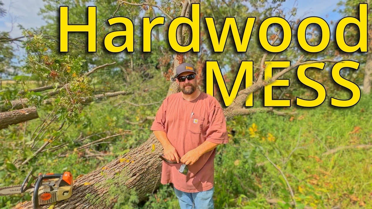 Is Pecan Wood Worth the Effort? 