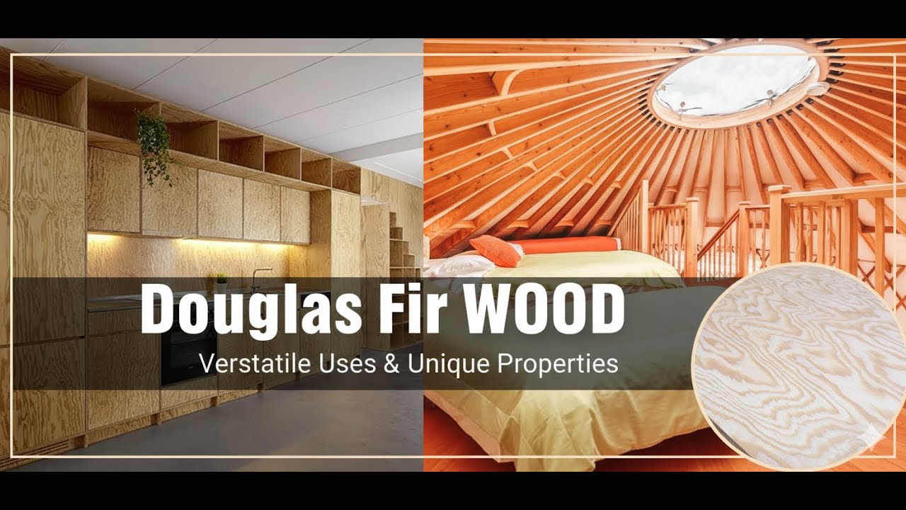 Douglas Fir Wood - The Versatile Softwood