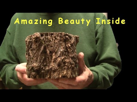 Woodturning Rugged End Grain Elm  Need to See