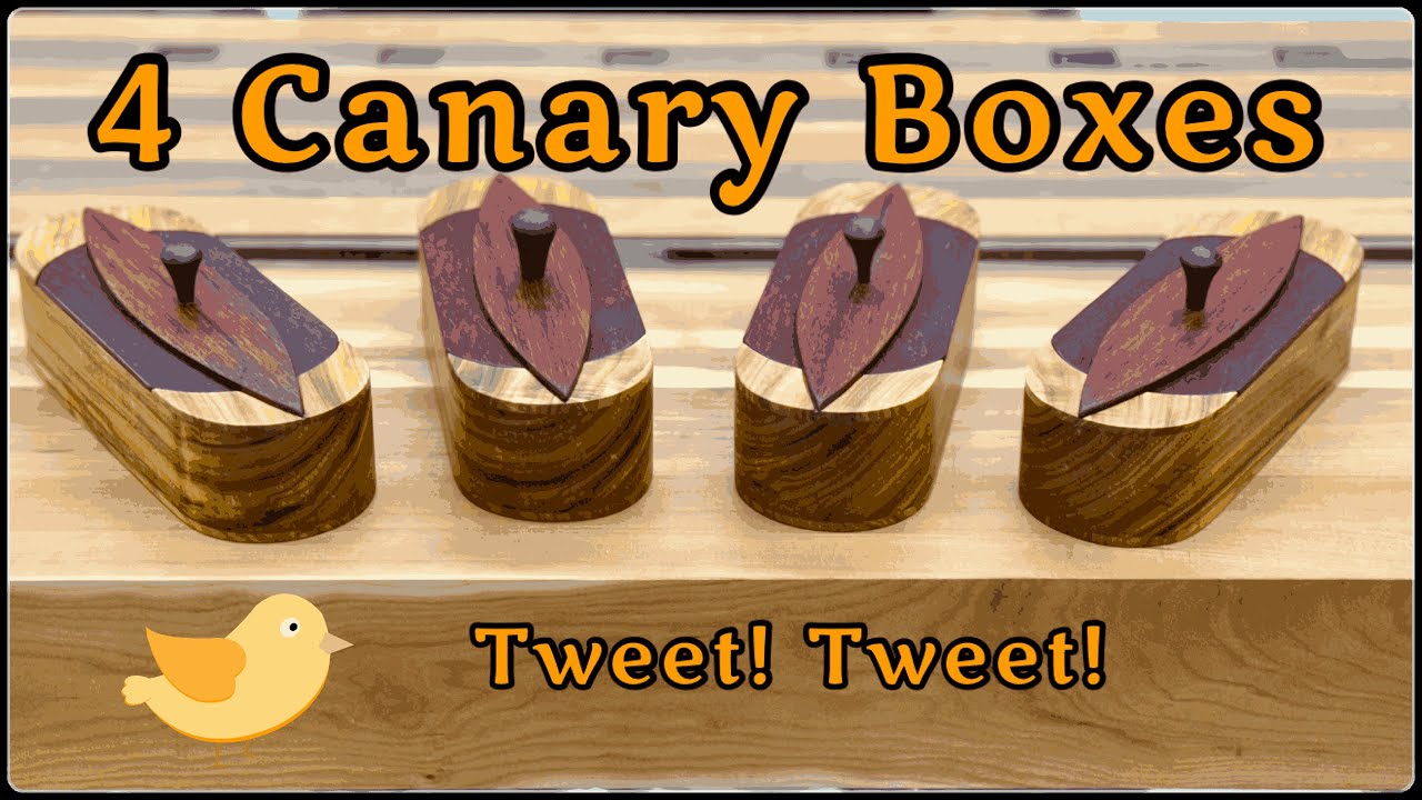 4 Canary Boxes