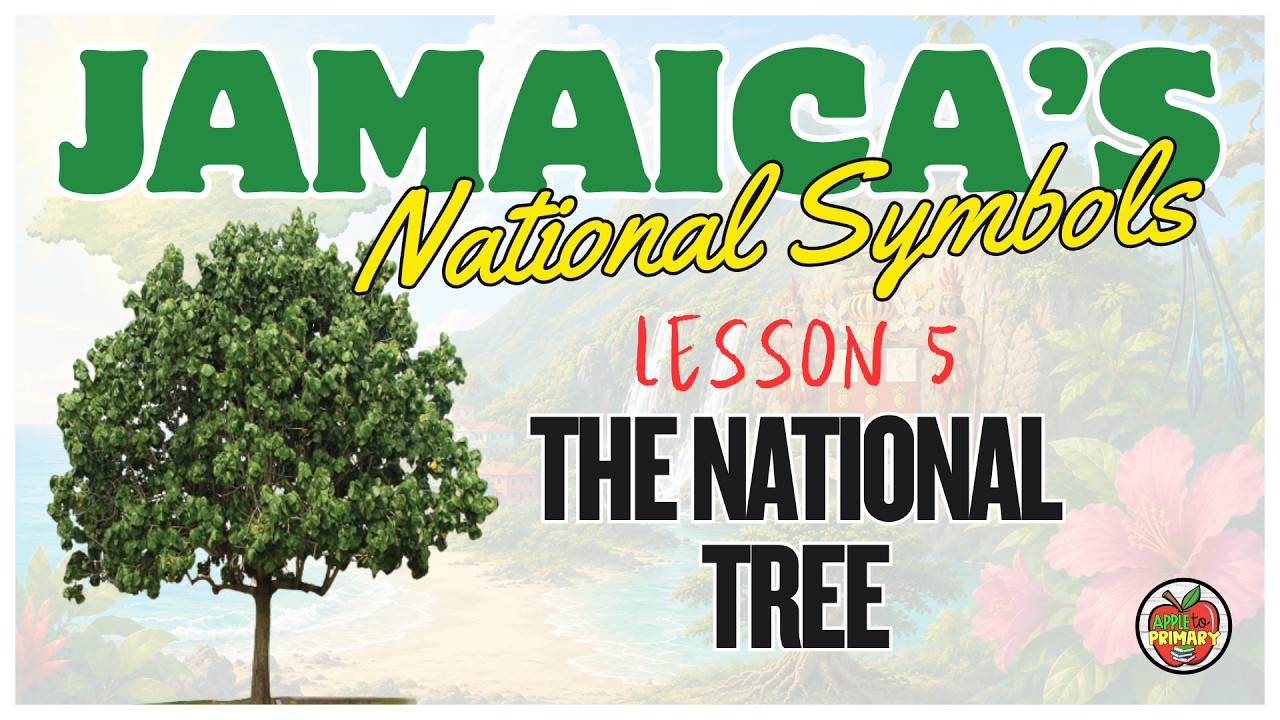 JAMAICA'S NATIONAL SYMBOLS |  Jamaica's National Tree - The Blue Mahoe Explained | Grades 4-6