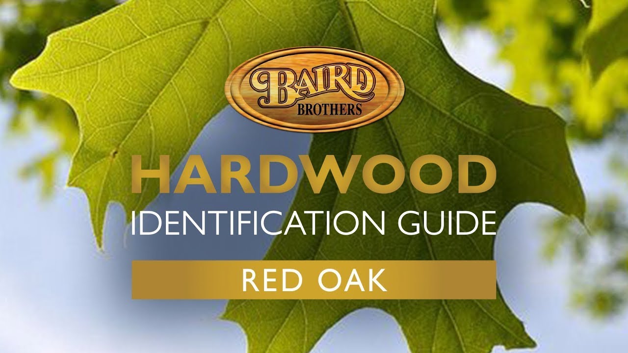 Red Oak Hardwood: Uses, Characteristics, and Identification Guide
