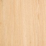 beech wood texture