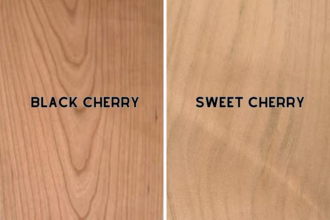 Black cherry wood vs sweet cherry