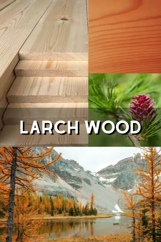 Larch Wood Pinterest Pin
