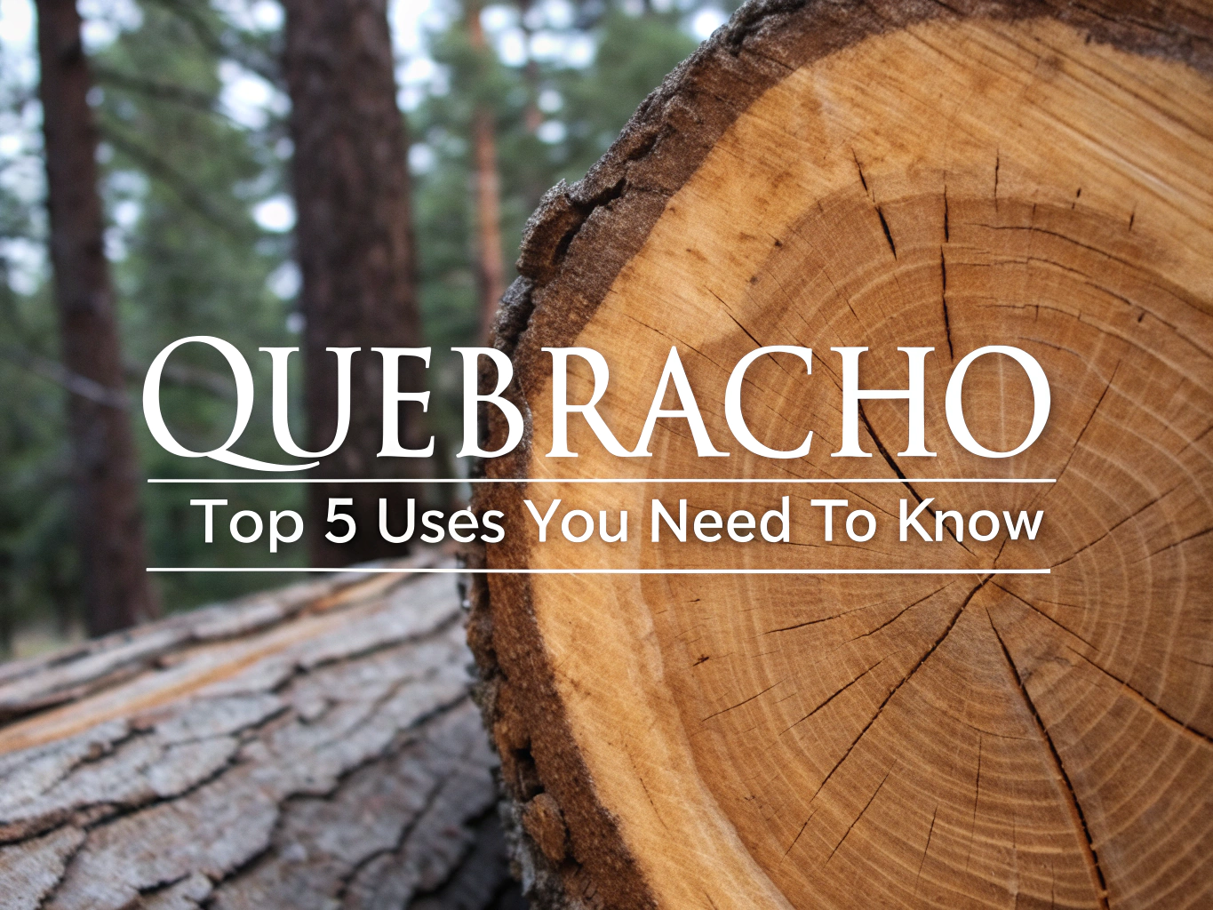 quebracho