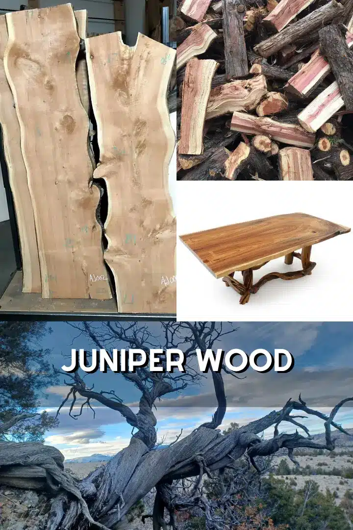 Juniper Wood: 5 Uses to Try