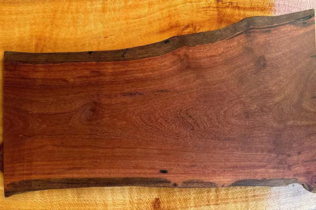 African bloodwood
