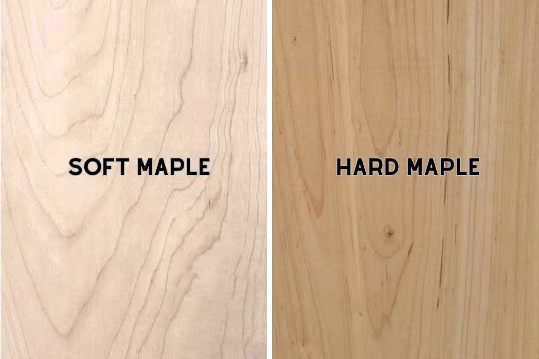 soft maple vs hard maple
